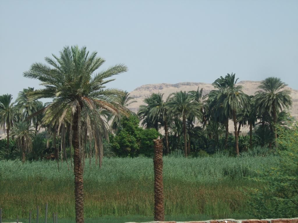 Luxor Palace Exterior foto